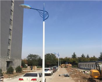 青海市電路燈-青海省西安市西北大學長安校區(qū)路燈工程